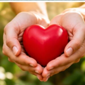 Corazon y Circulacion